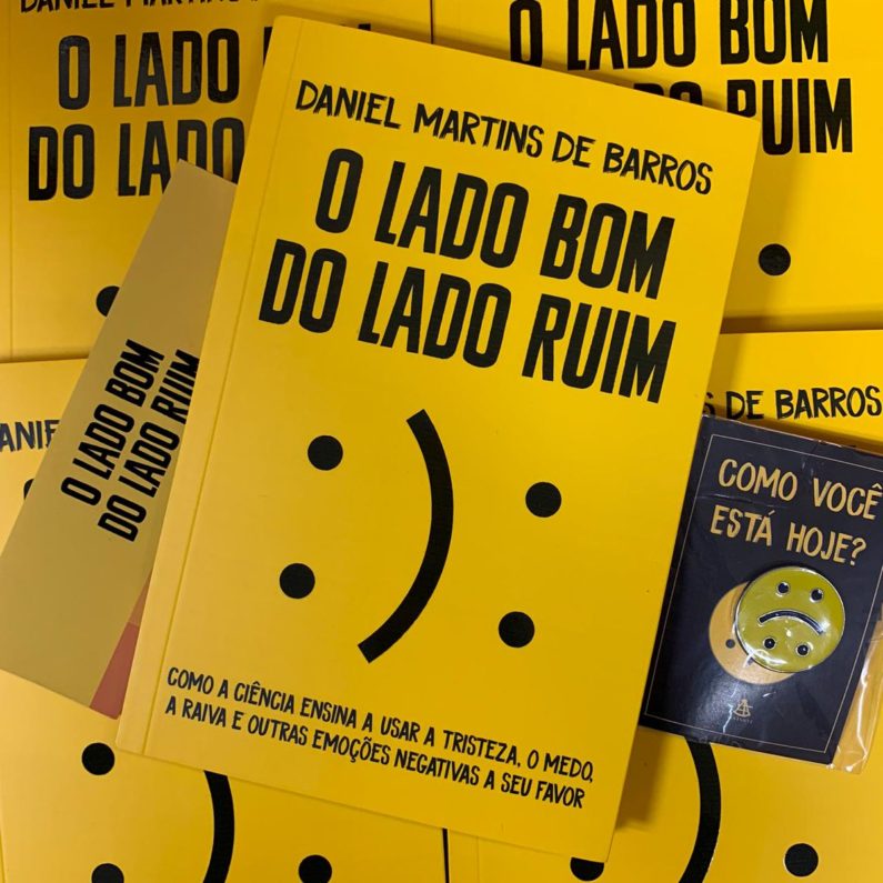 RESENHA – O LADO BOM DO LADO RUIM